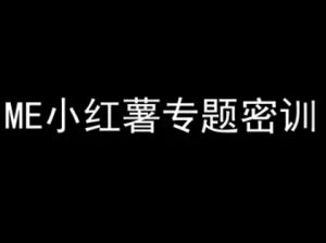 ME小红薯专题密训-小红书电商教程-赚金金-技能学习分享