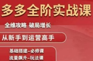 拼多多全阶实战课程,全维攻略,破局增长,从新手到运营高手-赚金金-技能学习分享