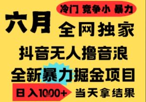 25年6月高爆抖音无人直播最新撸音浪掘金项目,小白可做,无脑日入1k+,门槛低可批量矩阵【揭秘】-赚金金-技能学习分享