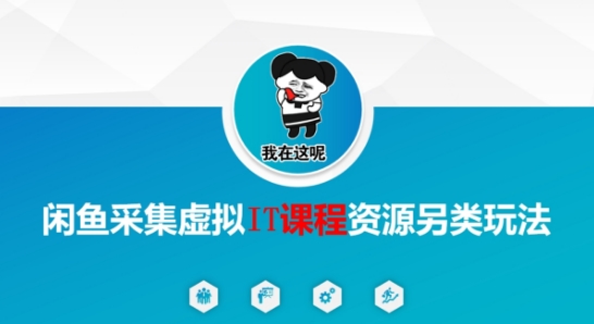 闲鱼采集虚拟IT课程资源另类玩法，干货满满-赚金金-技能学习分享