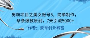 男粉项目之美女账号5,简单制作,条条爆款原创,7天引流5000+-赚金金-技能学习分享