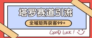 小红书某音塔罗赛道引流获客 自热矩阵日引200+【揭秘】-赚金金-技能学习分享