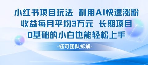 适合小白操作的小红书新项目，利用AI快速涨粉，收益每月平均1W+-赚金金-技能学习分享