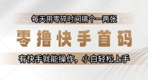 零撸快手首码,每天用零碎时间搞个一两张,有快手就能操作小白轻松上手【揭秘】-赚金金-技能学习分享