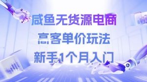 咸鱼无货源电商,高客单价玩法,新手1个月入门-赚金金-技能学习分享