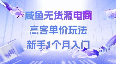 咸鱼无货源电商，高客单价玩法，新手1个月入门-赚金金-技能学习分享