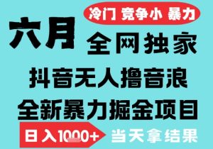2025年6月高爆抖音无人直播最新撸音浪掘金项目,无脑日入1k+,低门槛小白可做,可矩阵放大【揭秘】-赚金金-技能学习分享