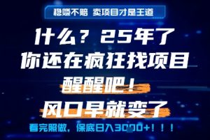 什么?25年你还在疯狂找项目做,醒醒吧,看完这些你全都懂了!【揭秘】-赚金金-技能学习分享