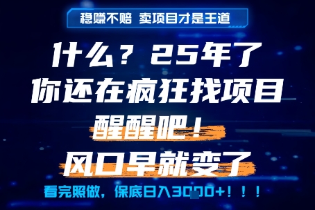 什么？25年你还在疯狂找项目做，醒醒吧，看完这些你全都懂了！【揭秘】-赚金金-技能学习分享