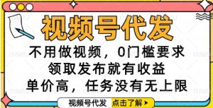 视频号代发,不用做视频,0门槛要求,领取发布就有收益,单价高,任务没有无上限【揭秘】-赚金金-技能学习分享