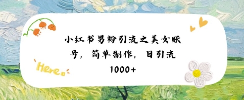 小红书男粉引流项目之美女账号6，简单制作，条条爆款原创，不违规-赚金金-技能学习分享