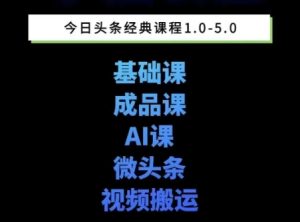 头条图文课1-5期教你头条图文写作、微头条、视频搬运变现，适合新手快速起号玩法-赚金金-技能学习分享