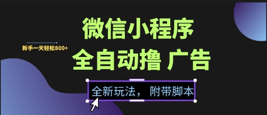 微信小程序全自动撸广告项目，彻底解决没流量的问题，新手一天8张+【揭秘】-赚金金-技能学习分享