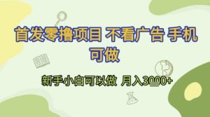 首发零撸项目 不看广告 手机可做 新手小白可以做  月入3k+【揭秘】-赚金金-技能学习分享