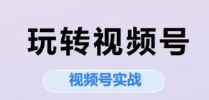 玩转视频号,视频号实战系列课-赚金金-技能学习分享