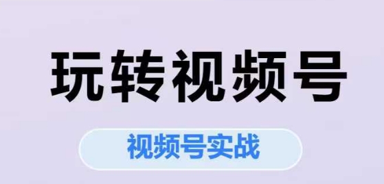 玩转视频号，视频号实战系列课-赚金金-技能学习分享
