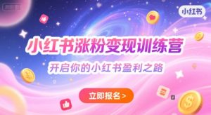小红书涨粉变现训练营,开启你的小红书盈利之路-赚金金-技能学习分享
