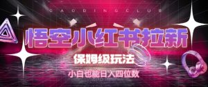 悟空小红书拉新,保姆级玩法,小白也能日入四位数-赚金金-技能学习分享