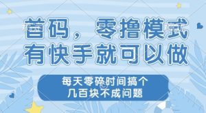首码零撸项目,有快手就可以做,每天业务时间搞个几张不是问题【揭秘】-赚金金-技能学习分享
