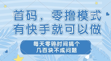 首码零撸项目，有快手就可以做，每天业务时间搞个几张不是问题【揭秘】-赚金金-技能学习分享