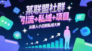 某联盟社群,引流+私域+项目,从新人小白到私域大神-赚金金-技能学习分享