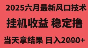 2025六月最新风口技术,无人挂G撸礼物,长期稳定 一个小时收益2k+,小白当天拿结果【揭秘】-赚金金-技能学习分享