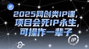 2025网创类IP课,项目会死IP永生,可操作一辈子-赚金金-技能学习分享