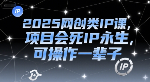 2025网创类IP课，项目会死IP永生，可操作一辈子-赚金金-技能学习分享