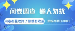 问卷调查，懒人勿扰，问卷都整理好了单价不等，做就有收益，熟练后单日3张【揭秘】-赚金金-技能学习分享