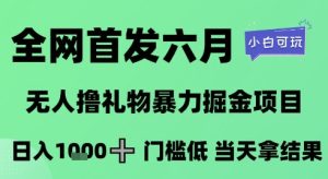 全网首发六月,无人撸礼物暴力掘金项目,日入1K+门槛低,当天拿结果,小白可玩【揭秘】-赚金金-技能学习分享