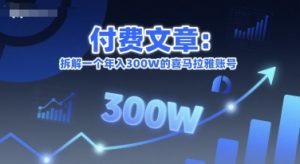 付费文章:拆解一个年入300W的喜马拉雅账号-赚金金-技能学习分享
