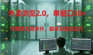 外卖浏览2.0,单窗口30+可矩阵无限多开,脚本全自动运行【揭秘】-赚金金-技能学习分享