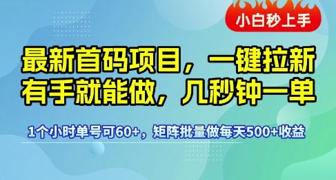 最新首码项目，一键拉新有手就能做，几秒钟一单，1个小时单号可60+，矩阵批量做每天5张【揭秘】-赚金金-技能学习分享