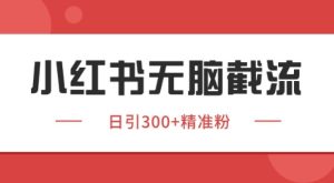 小红书截流同行客源,独家野路子获客玩法 日引200+暴力获客【揭秘】-赚金金-技能学习分享