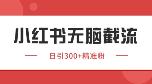 小红书截流同行客源，独家野路子获客玩法 日引200+暴力获客【揭秘】-赚金金-技能学习分享