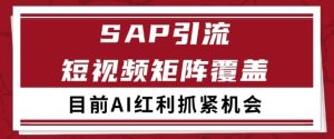 小红书某音sap赛道引流获客 自热矩阵日引200+【揭秘】-赚金金-技能学习分享