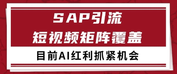 小红书某音sap赛道引流获客 自热矩阵日引200+【揭秘】-赚金金-技能学习分享