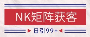 小红书某音NK赛道引流获客 自热矩阵日引200+【揭秘】-赚金金-技能学习分享