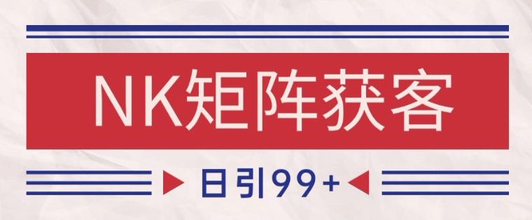 小红书某音NK赛道引流获客 自热矩阵日引200+【揭秘】-赚金金-技能学习分享