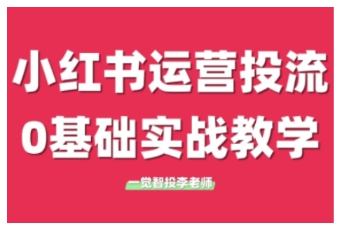 小红书运营投流，小红书广告投放从0到1的实战课，学完即可开始投放（更新）-赚金金-技能学习分享