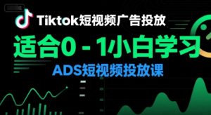 Tiktok短视频广告投放,适合0-1小白学习ADS短视频投放课-赚金金-技能学习分享