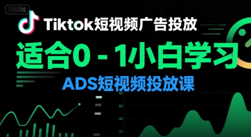 Tiktok短视频广告投放，适合0-1小白学习ADS短视频投放课-赚金金-技能学习分享