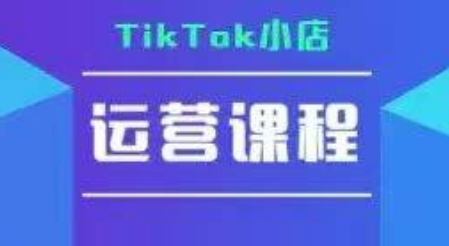 TikTok小店运营实操课，TK​小店运营实操+疑难答疑-赚金金-技能学习分享