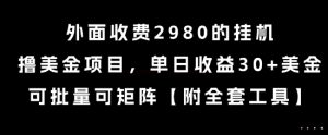 外面收费2980的挂G撸美金项目,单日收益30+美金,可批量可矩阵【揭秘】-赚金金-技能学习分享