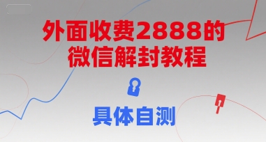 外面收费2888的微信解封教程，具体自测-赚金金-技能学习分享