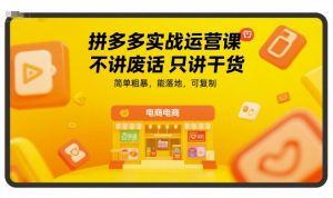 拼多多实战运营课,不讲废话只讲干货,简单粗暴,能落地,可复制-赚金金-技能学习分享
