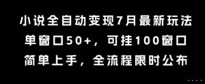 小说全自动变现7月玩法,单窗口50+,可挂100窗口,简单上手,全流程限时公布【揭秘】-赚金金-技能学习分享