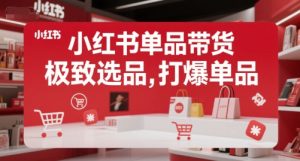 小红书单品带货,极致选品,打爆单品-赚金金-技能学习分享