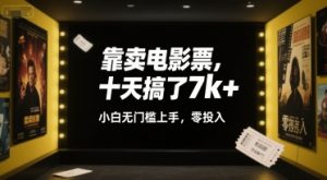 靠卖电影票,十天搞了7k+,小白无门槛上手,零投入【揭秘】-赚金金-技能学习分享
