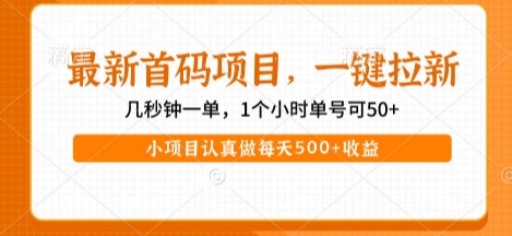 最新首码项目，操作最简单，收益高，一键拉新，1个小时单号可50+，小项目认真做每天5张+收益【揭秘】-赚金金-技能学习分享